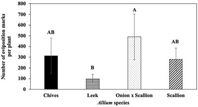 Allium leafminer (Diptera: Agromyzidae) host preference: implications for developing a trap cropping strategy